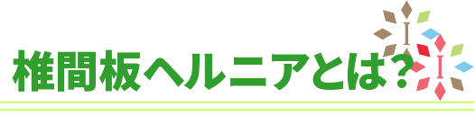 椎間板ヘルニアとは？